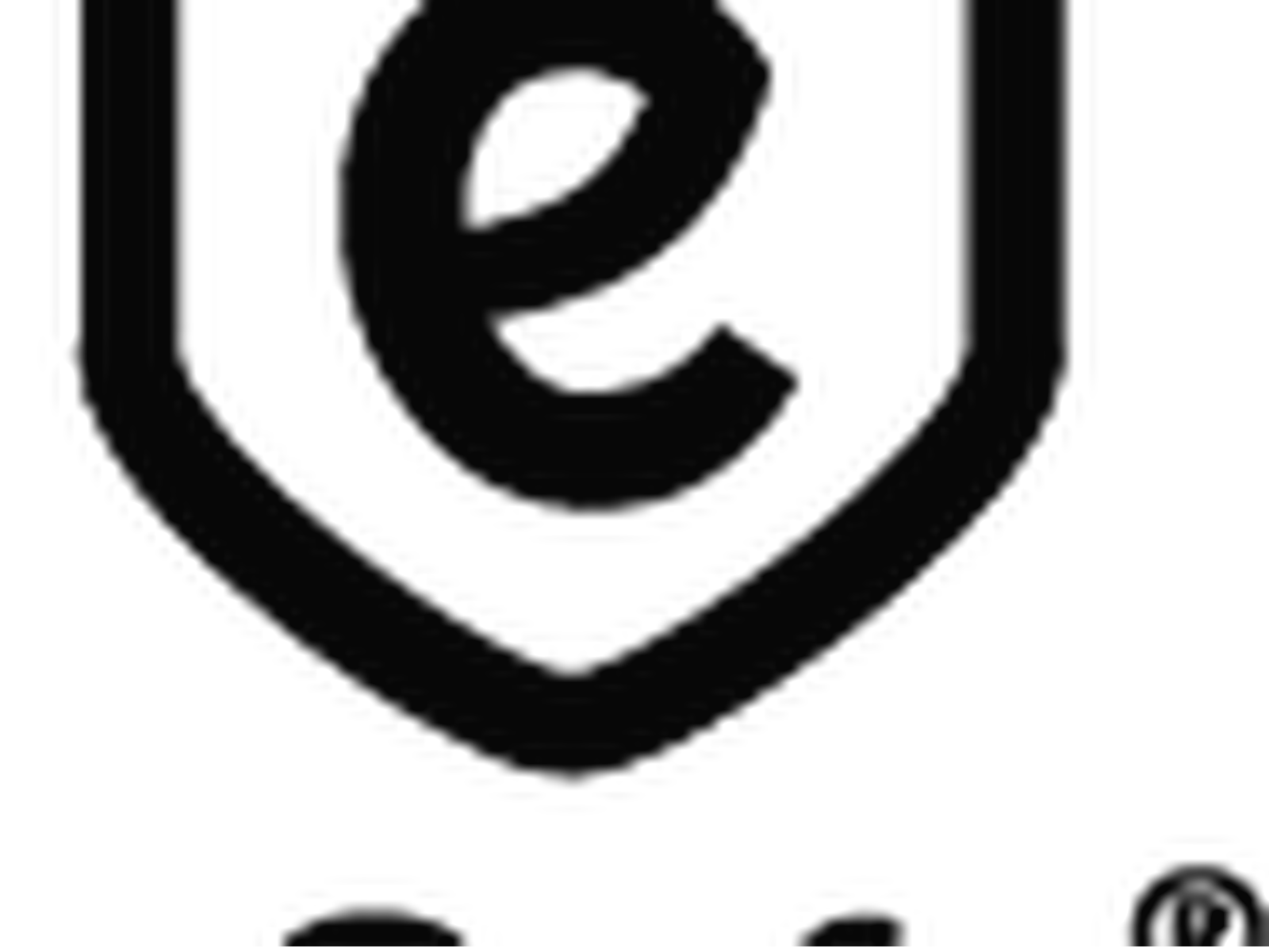 eSafe Fenix Top Large