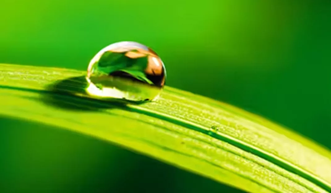 Hörmann denkt groen